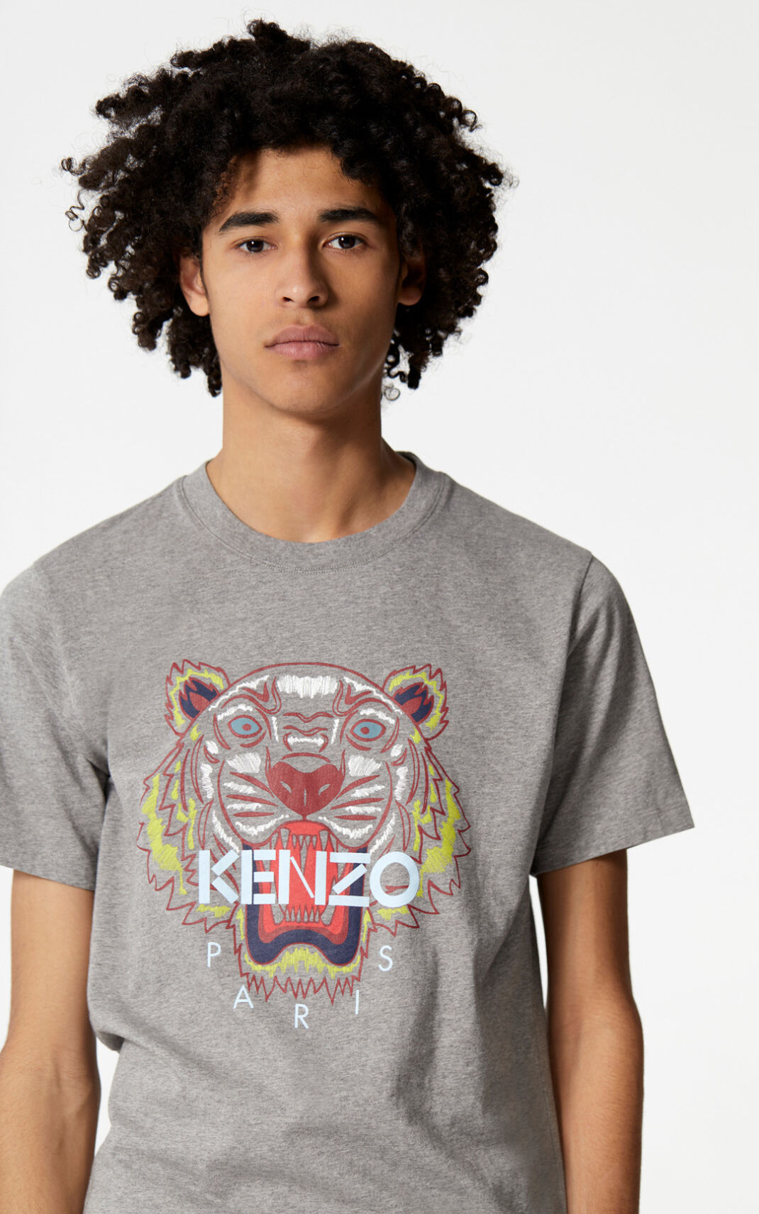 Camisetas Kenzo Tiger Hombre Gris WXP379652